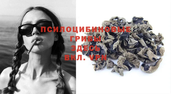 прущая мука Белокуриха