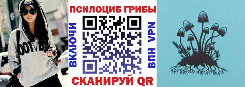 купить   Крымск  Псилоцибиновые грибы Cubensis 